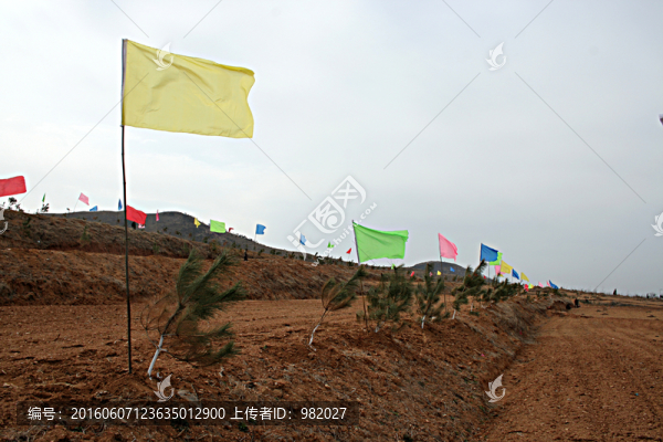 彩旗飄飄