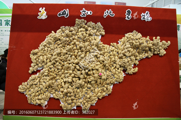 生姜,構(gòu)圖