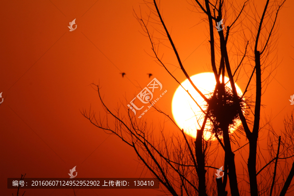 夕陽