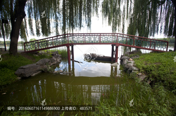 橋