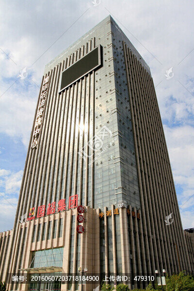 大慶,石油大廈,油田,樓房