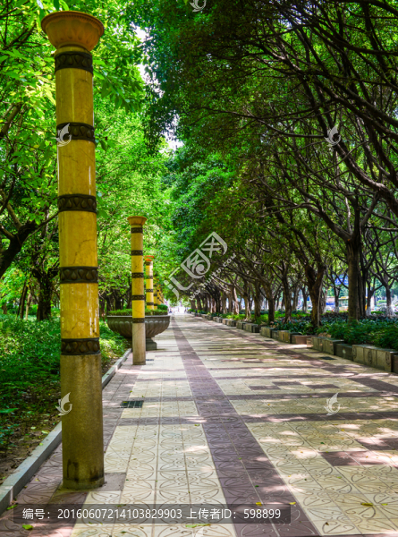 林蔭路