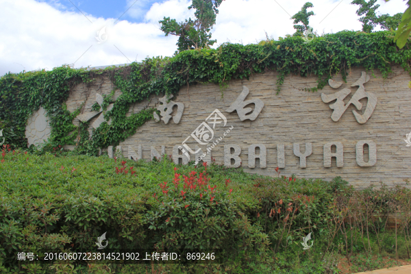 文化墻,文化石,爬山虎文化墻