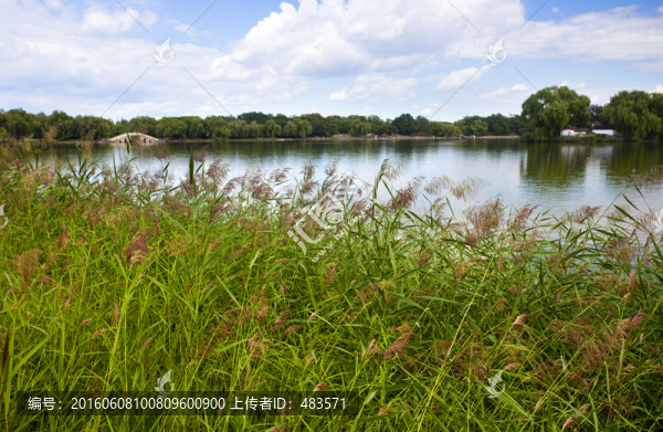 圓明園