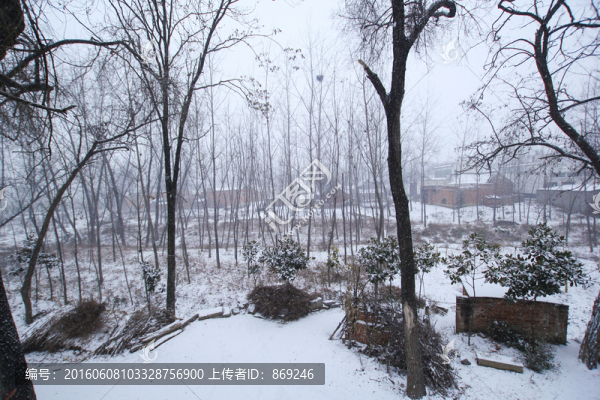 鄉(xiāng)村雪景,山村雪景,農(nóng)村雪景