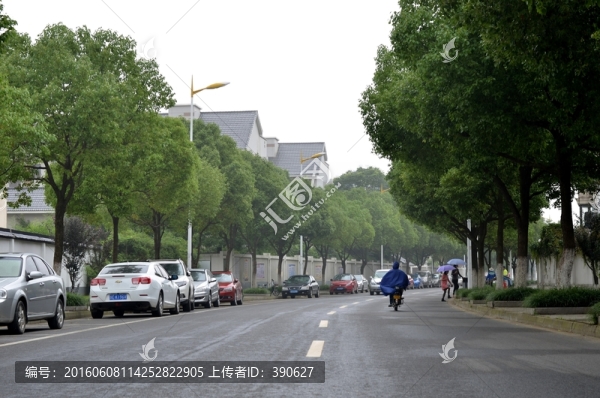 林蔭路