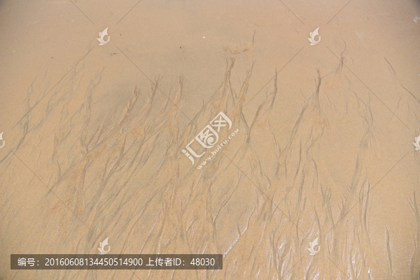流沙紋理