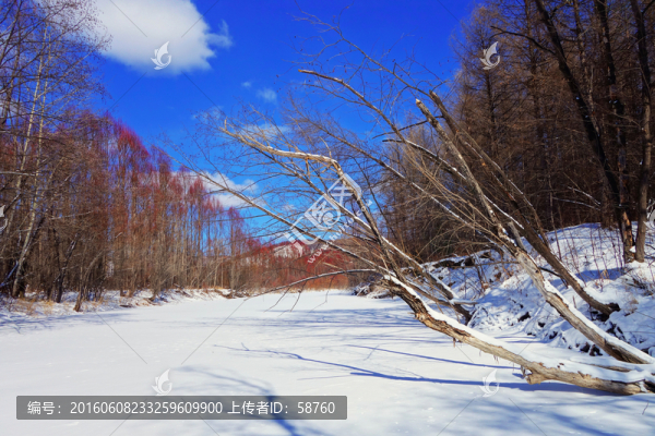 林海雪原冰河