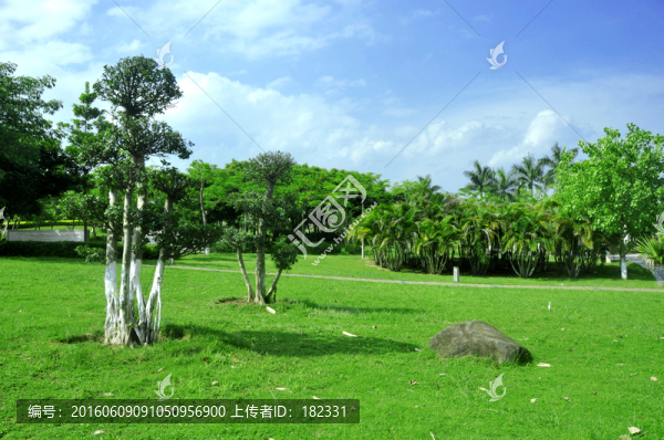 公園綠色地帶