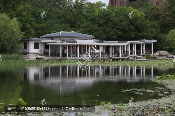 公園湖面的倒影