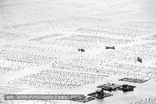 I貽貝養(yǎng)殖基地
