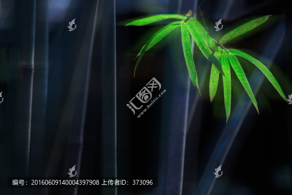 夢(mèng)幻翠竹