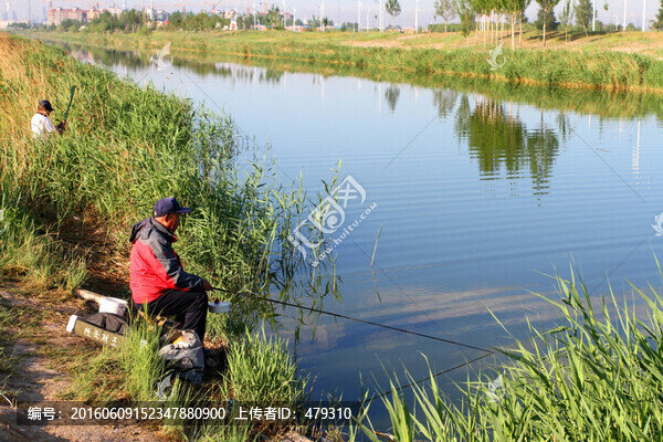釣魚,垂釣,湖面,捕魚,休閑