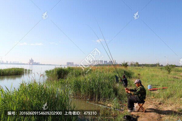 釣魚,垂釣,湖面,捕魚,休閑