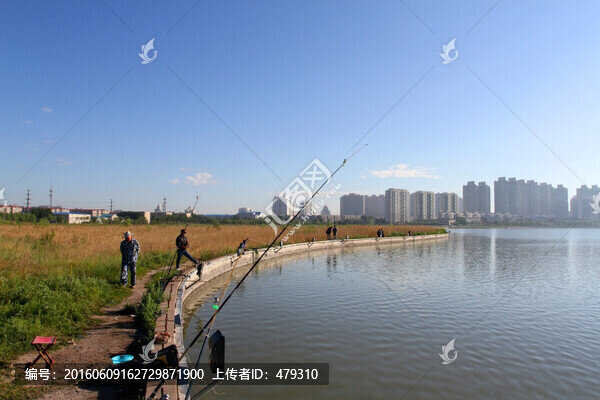 釣魚,垂釣,湖面,捕魚,休閑