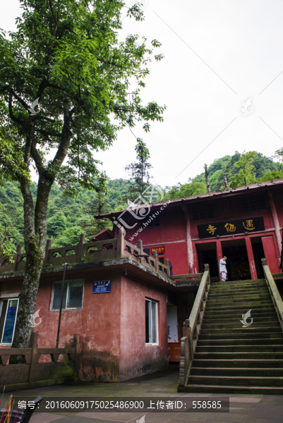 四川峨眉山遇仙寺