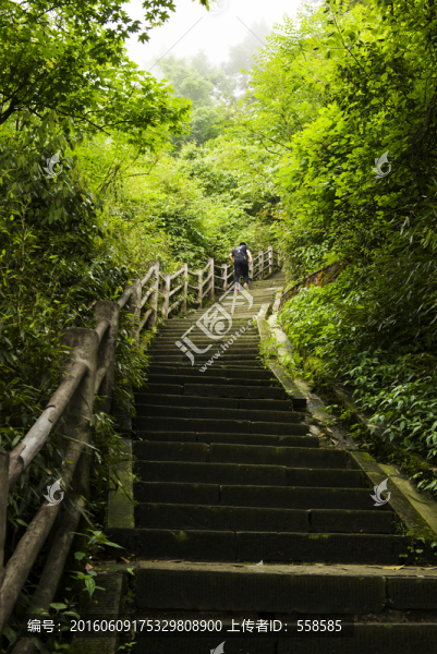 四川峨眉山階梯山路
