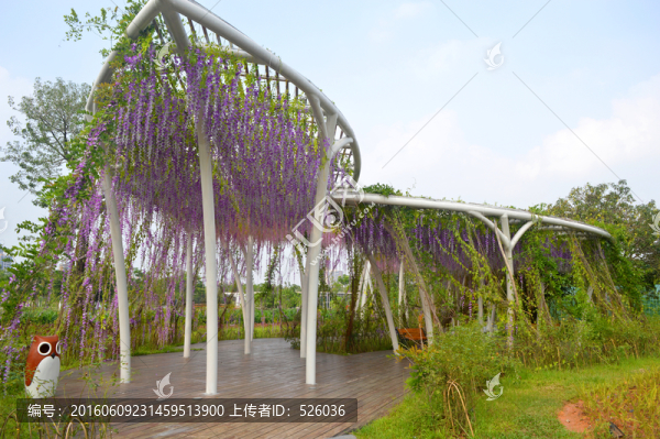 花架
