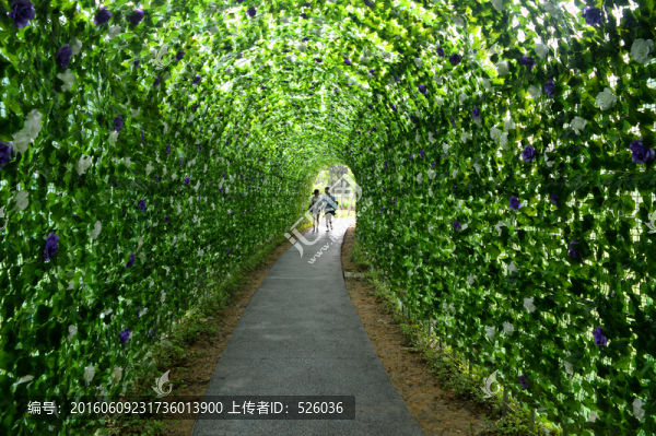 花架