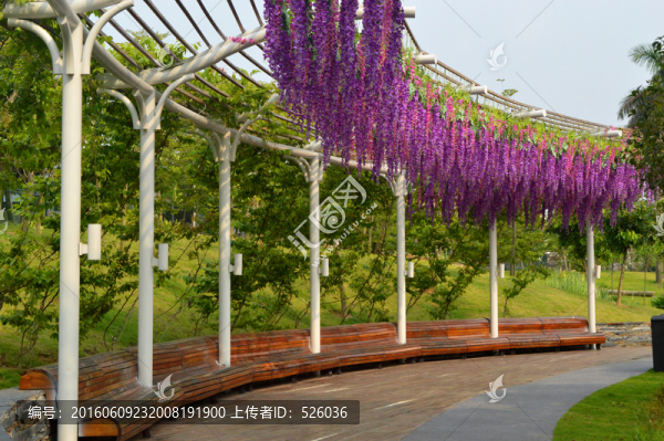 花架
