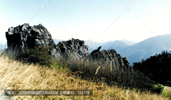 湖北神農(nóng)架風(fēng)光板壁巖景區(qū)