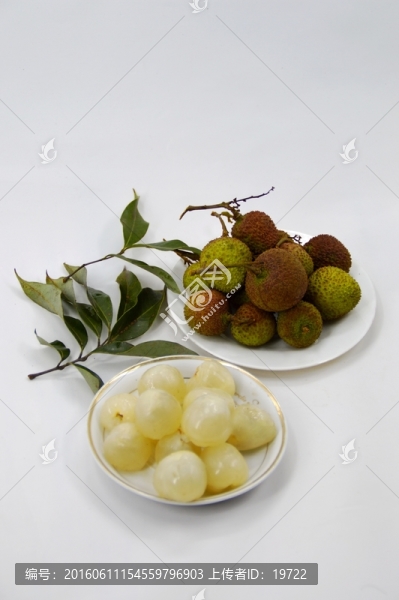 栛枝