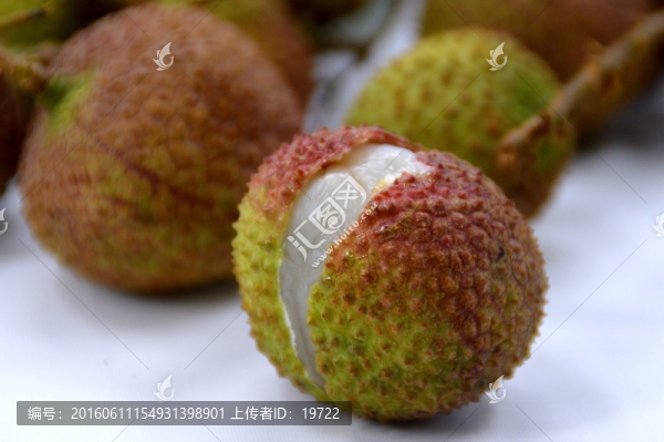 栛枝
