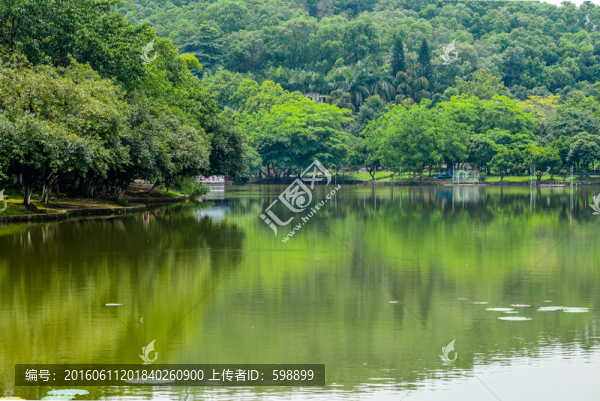 森林公園湖景