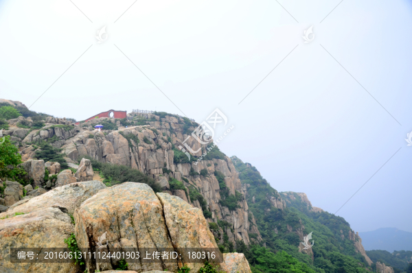 泰山