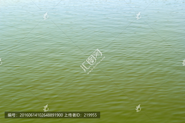 水紋