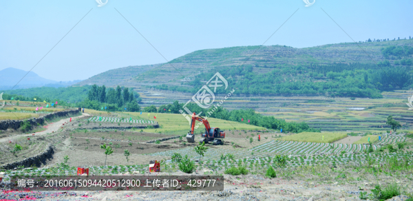 農(nóng)田,田園風(fēng)景,,農(nóng)業(yè)