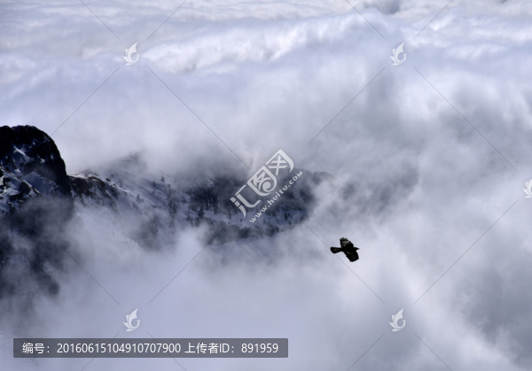阿爾卑斯山雪原云海風(fēng)光