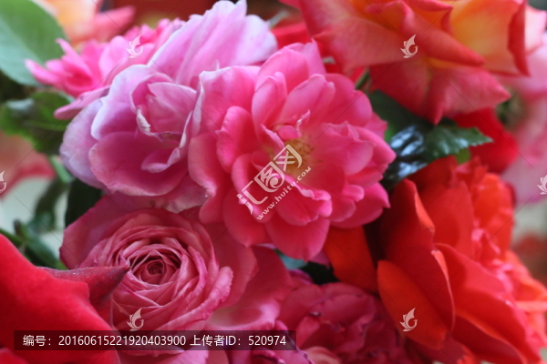 花卉