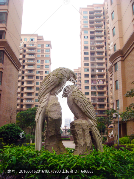 鸚鵡,石雕,園林景觀