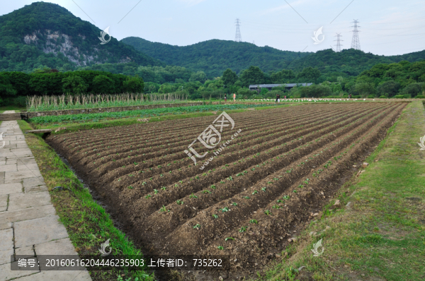杭州八卦田