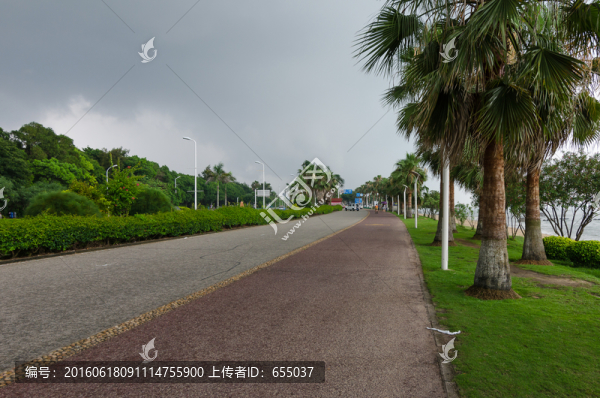 廈門環(huán)島路