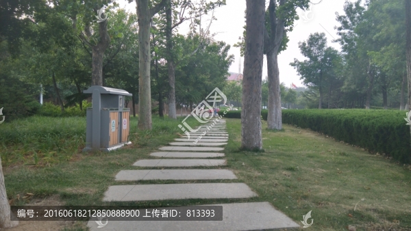 公園中的小路