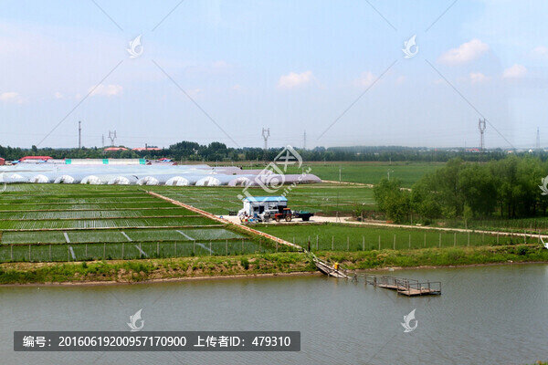 農(nóng)田,田野,養(yǎng)魚池,農(nóng)村,村莊