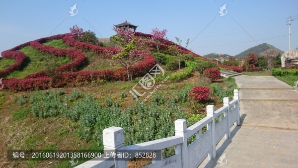 家鄉(xiāng)公園風景圖