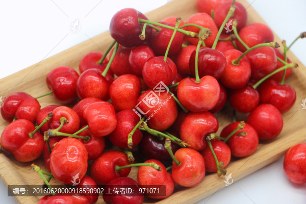 大櫻桃