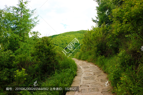 山間石路