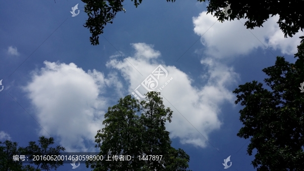 藍(lán)天白云