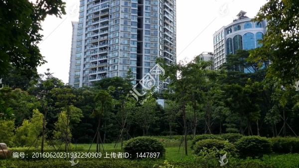 住宅樓