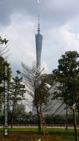 小蠻腰