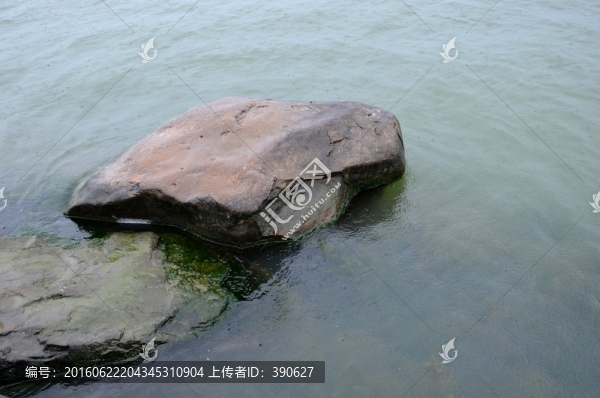 水里的石頭