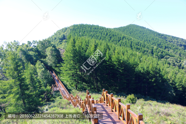 木棧道