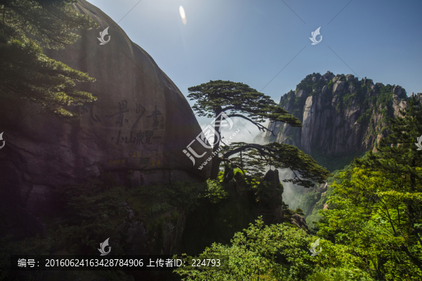 黃山迎客松