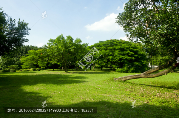綠色好環(huán)境