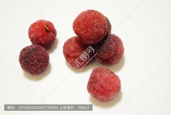 楊梅