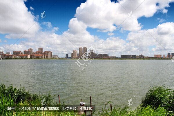 大慶,龍鳳,濕地,湖水,蘆葦